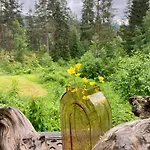 Friheten! بيت للعطل نوتودن