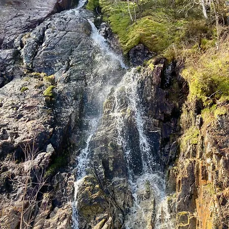 Friheten! * Notodden