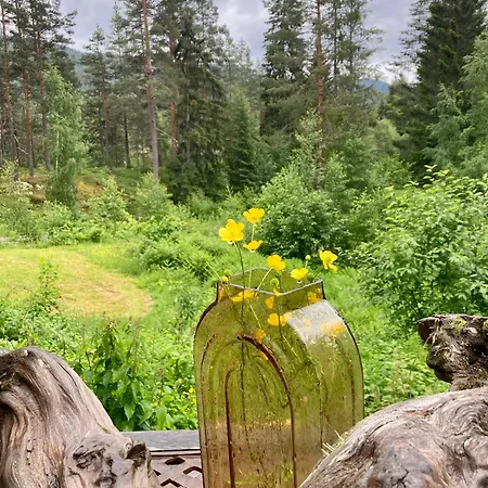 Friheten! Ferienhaus Notodden