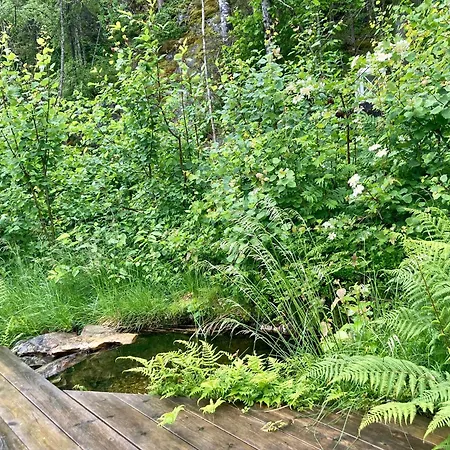 Friheten! Feriehus Notodden