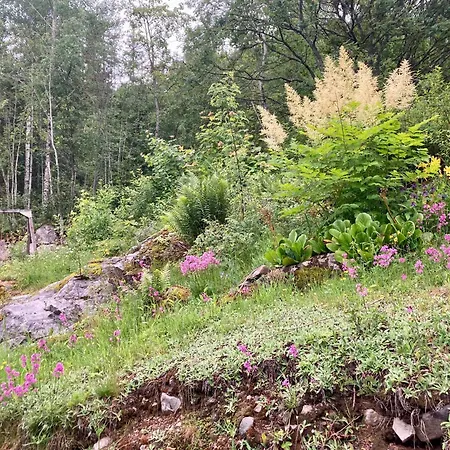 Friheten! Ferienhaus Notodden