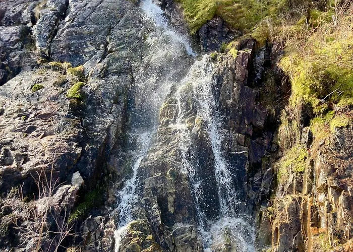 Friheten! * Notodden