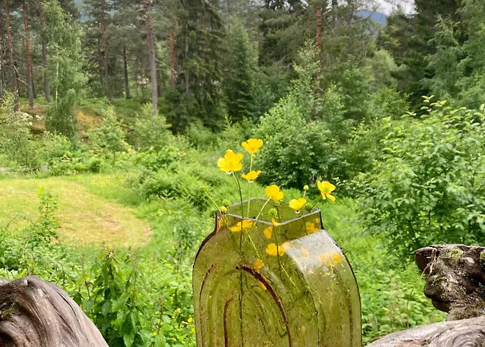 Friheten! Casa vacanze Notodden